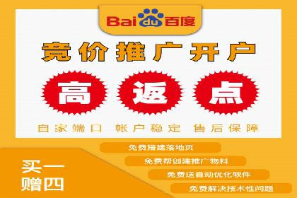 SEM推广策略：实战案例解析